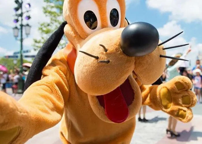 Le Chene Gris - Roan Szálloda